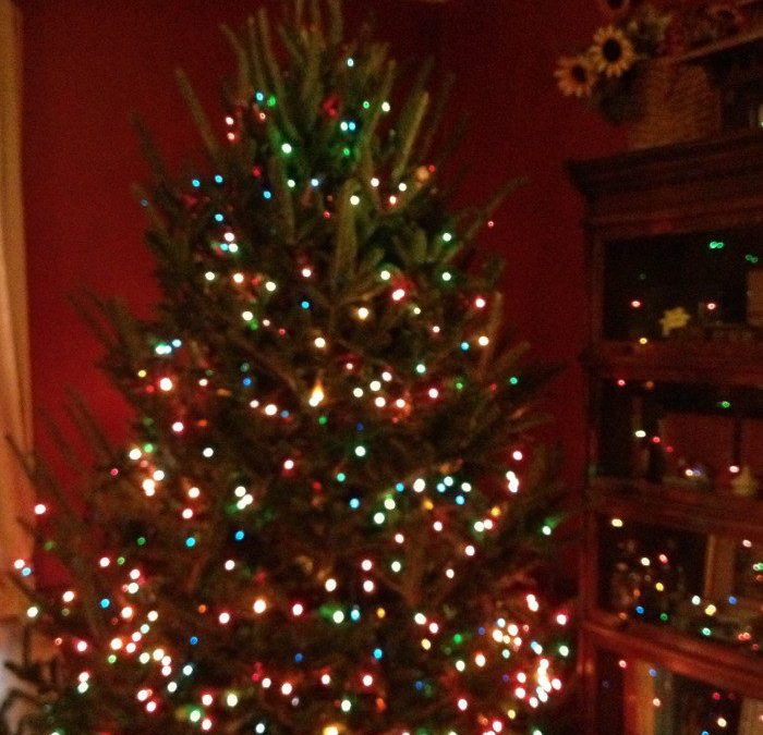 Christmas Tree Memories
