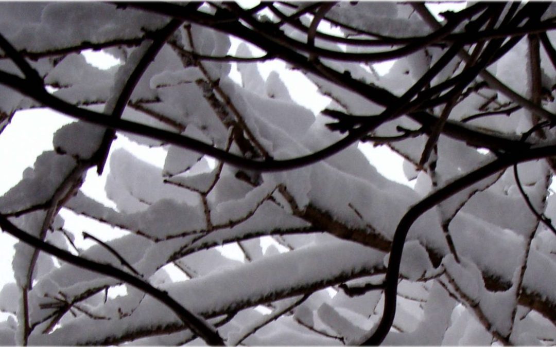 9.  Blanket